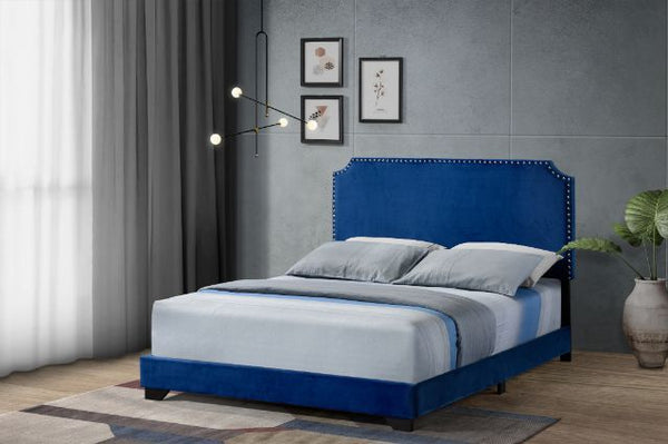 Haemon - Queen Bed - Blue Fabric