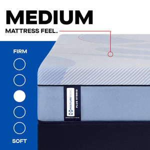 Posturepedic Plus - Hagerstown Medium - Split California King