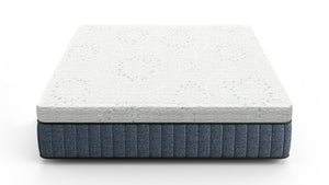 Daniel's Sleep Energize 3.0 FIRM 14" Hybrid Queen Mattress
