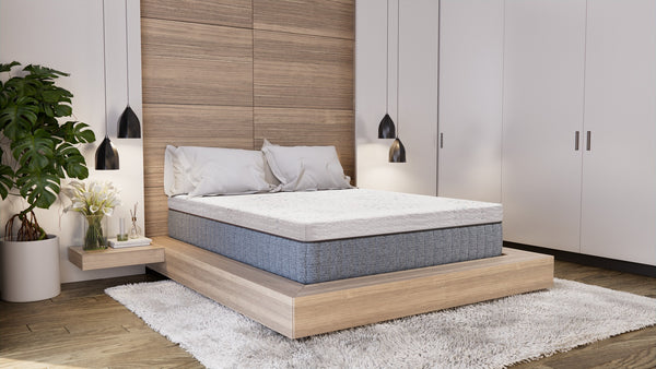Daniel's Sleep Energize 3.0 FIRM 14" Hybrid Queen Mattress
