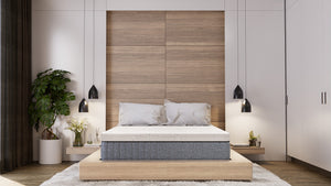 Daniel's Sleep Energize 3.0 FIRM 14" Hybrid Queen Mattress