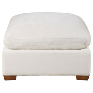  plump aesthetics merged with a boxy