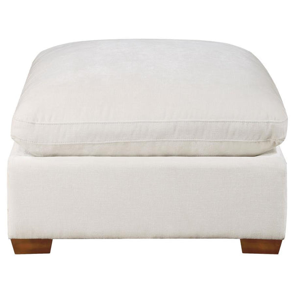  plump aesthetics merged with a boxy