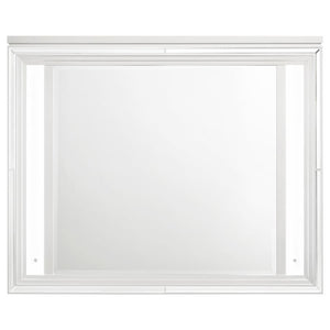  this mirror adds a touch 