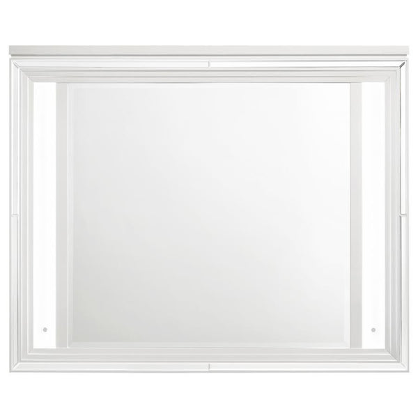  this mirror adds a touch 
