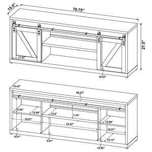 Brockton - 2-Door Engineered Wood TV Stand - Gray Driftwood