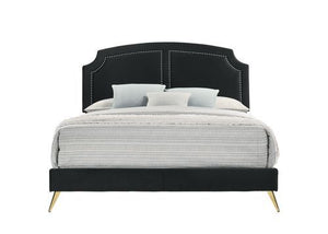 Zeena - Eastern King Bed - Black Velvet