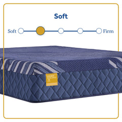 Forsyth Park - Soft Mattress - Twin Long