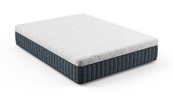 Daniel's Sleep Energize 3.0 FIRM 14" Hybrid Queen Mattress